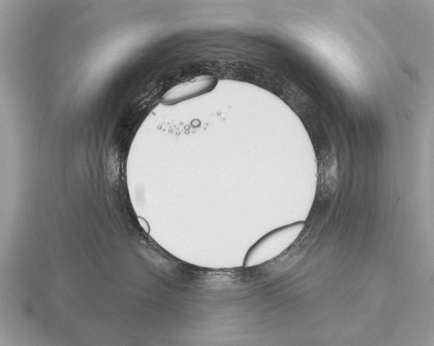 X0000115290574200912141058