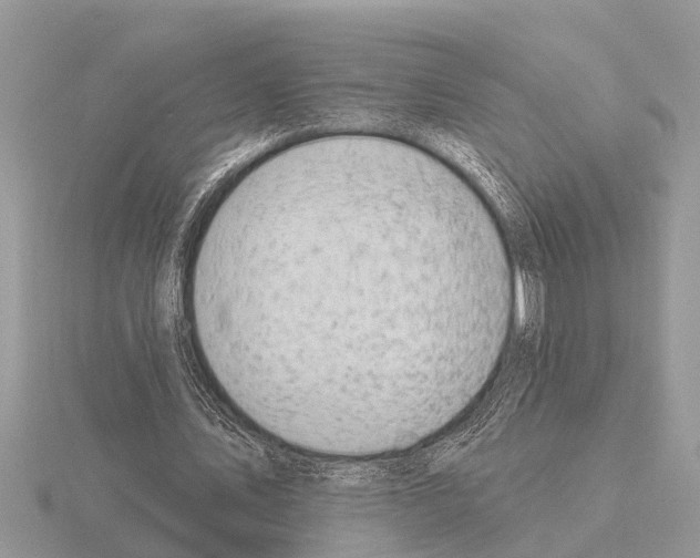 X0000115290579200912141057
