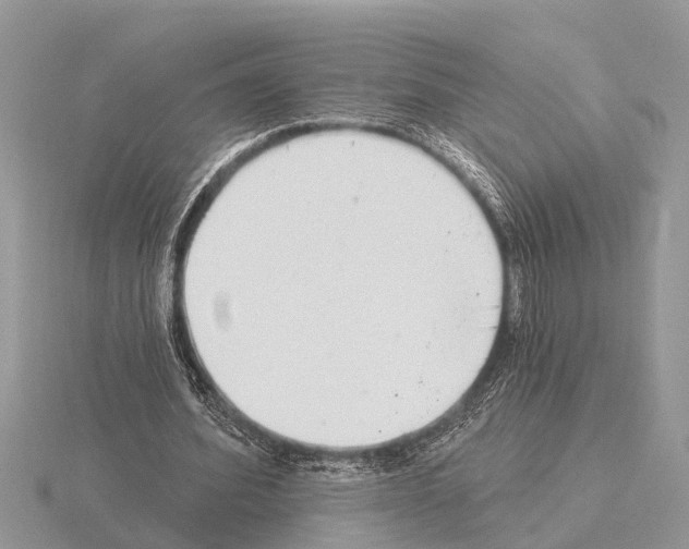 X0000115290580200912141057