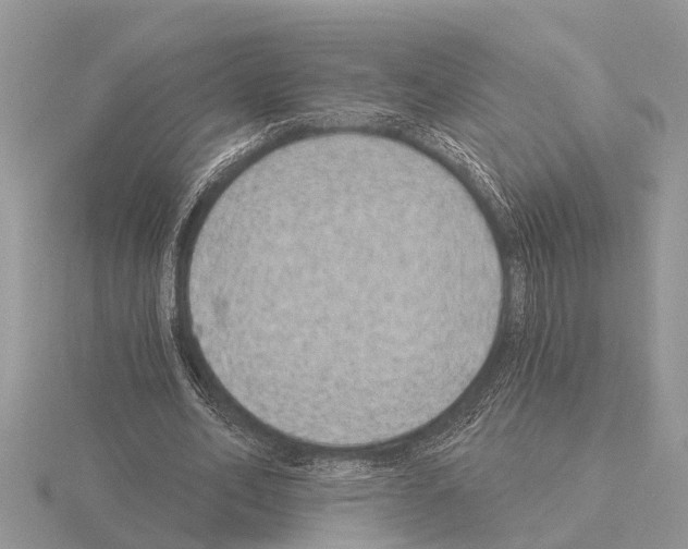 X0000115290582200912141057