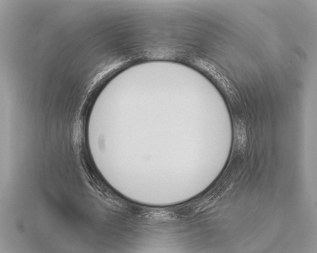X0000115290583200912141057