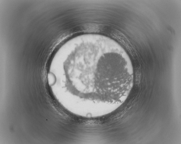 X0000115290584200912141057