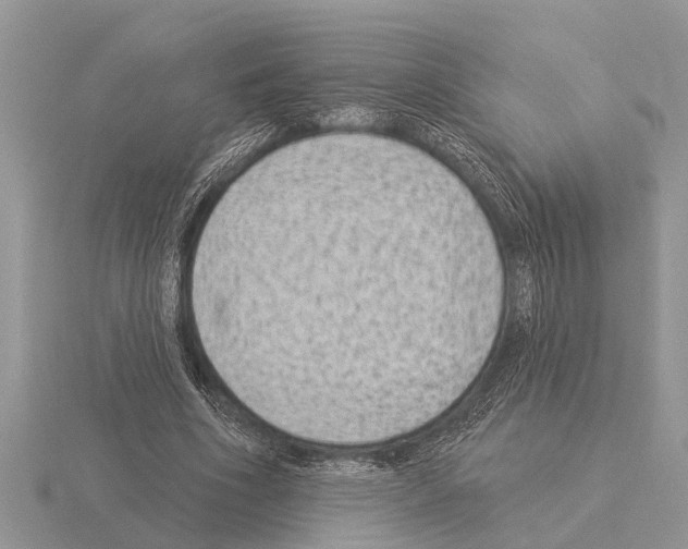 X0000115290586200912141057