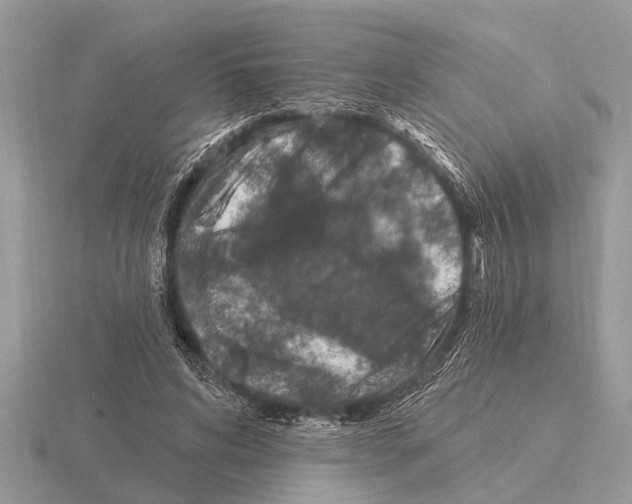 X0000115290592200912141057