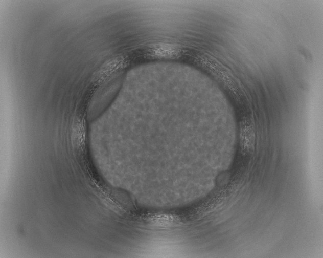 X0000115290593200912141057