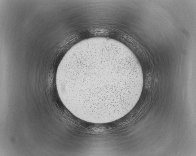 X0000115290604200912141057