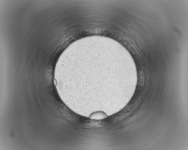X0000115290612200912141057