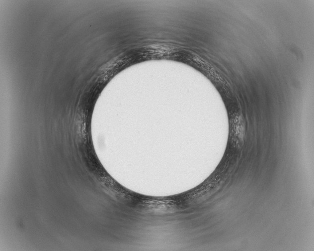 X0000115290615200912141057