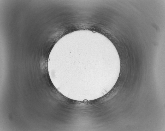 X0000115290624200912141057