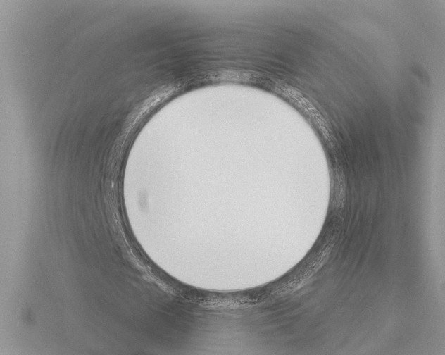 X0000115290625200912141056