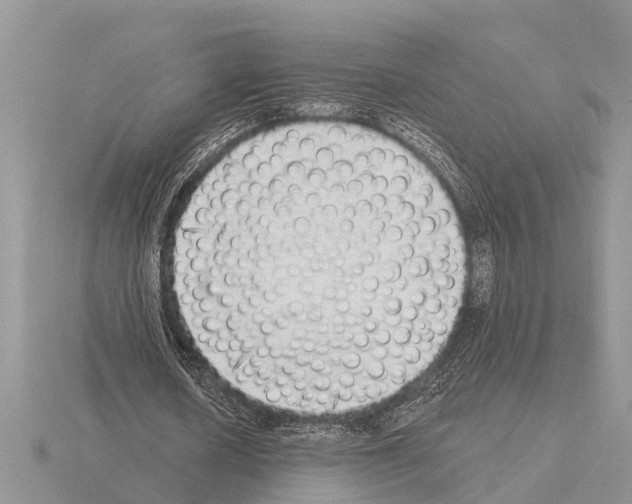X0000115290626200912141056