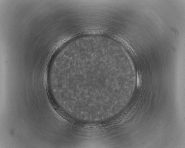 X0000115290627200912141056