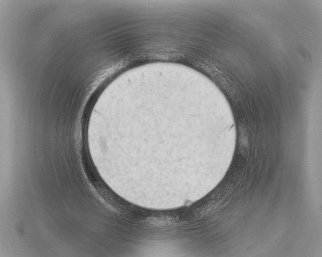 X0000115290630200912141056