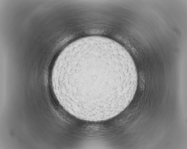 X0000115290631200912141056