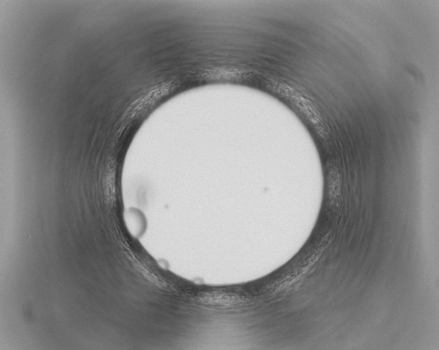 X0000115290633200912141056
