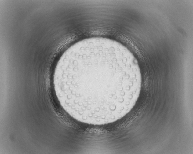 X0000115290635200912141056