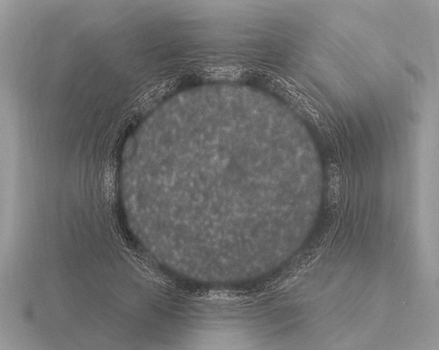 X0000115290641200912141056