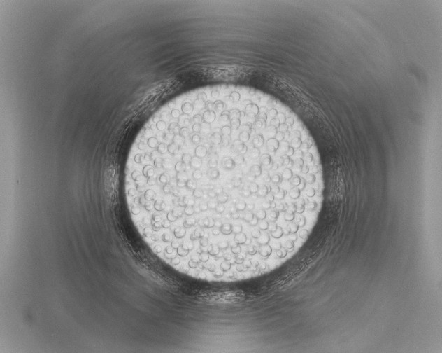 X0000115290646200912141056