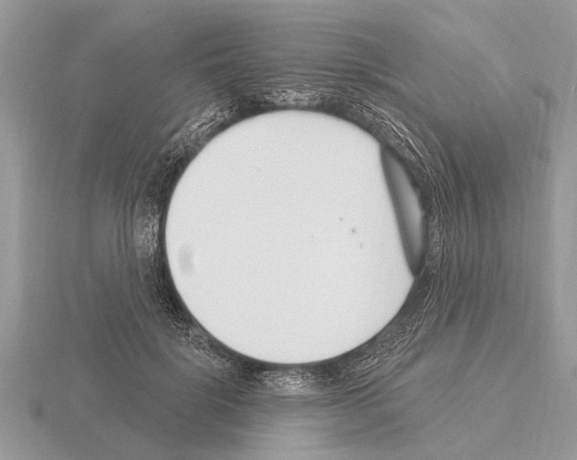 X0000115290652200912141056