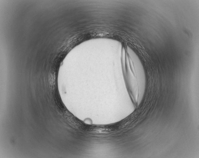 X0000115290657200912141056