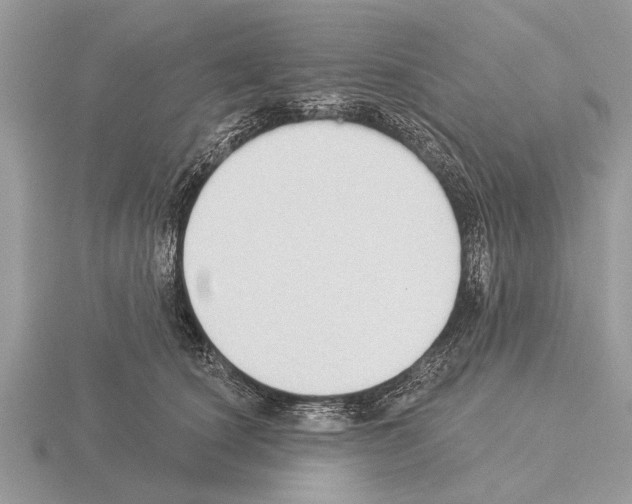 X0000115290660200912141056