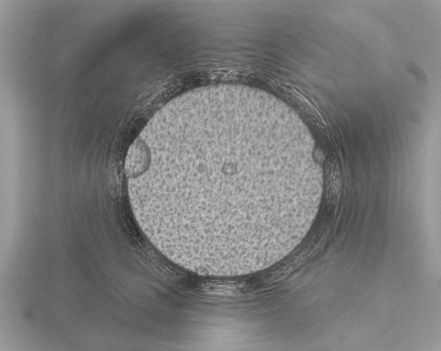 X0000115290661200912141056
