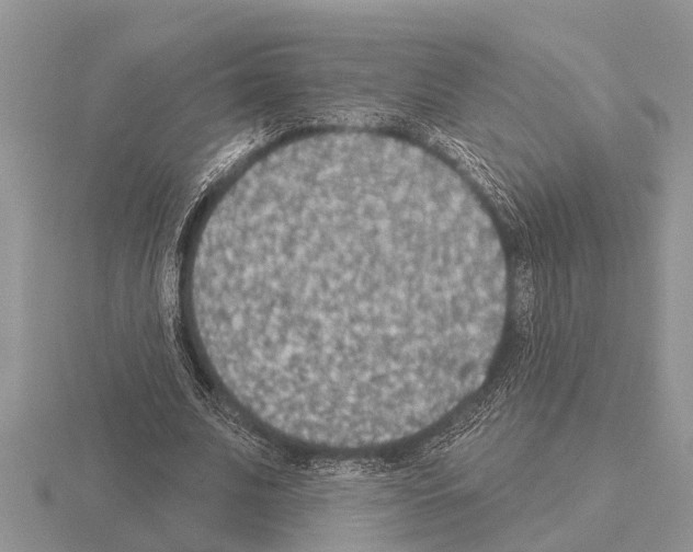 X0000115290679200912141056