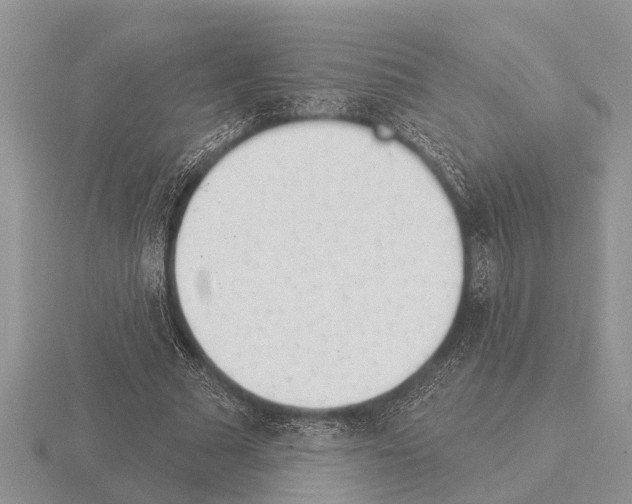 X0000115290681200912141056