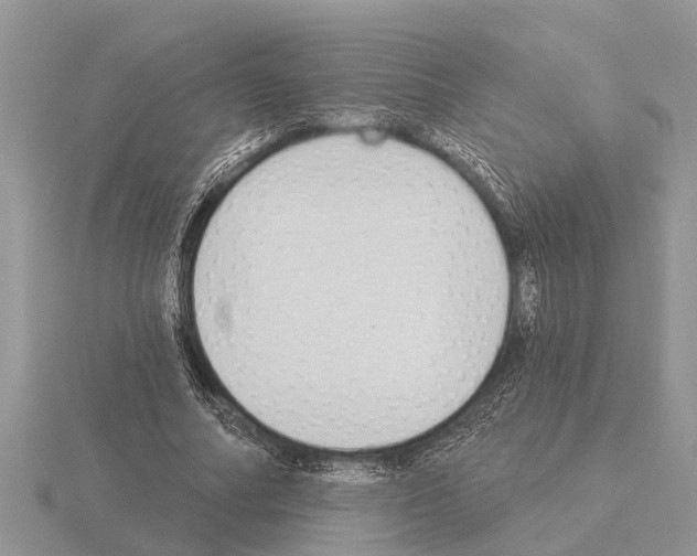 X0000115290682200912141056