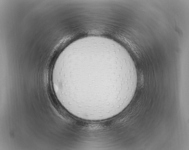 X0000115290686200912141056