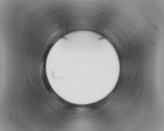 X0000115290693200912141056