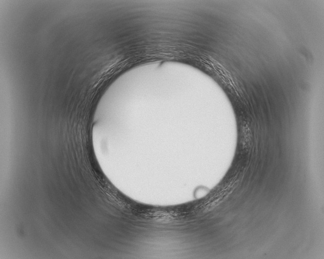 X0000115290697200912141056