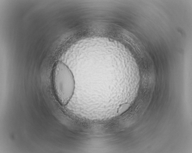 X0000115290701200912141056