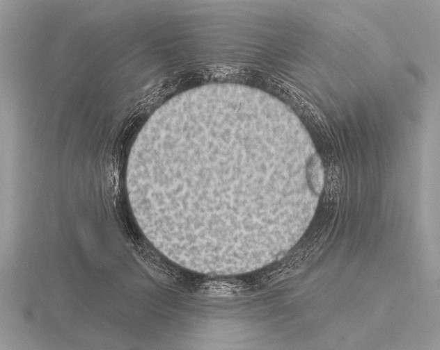 X0000115290703200912141056