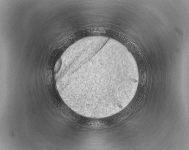 X0000115290704200912141056