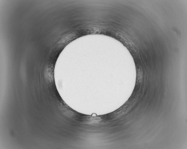 X0000115290719200912141055