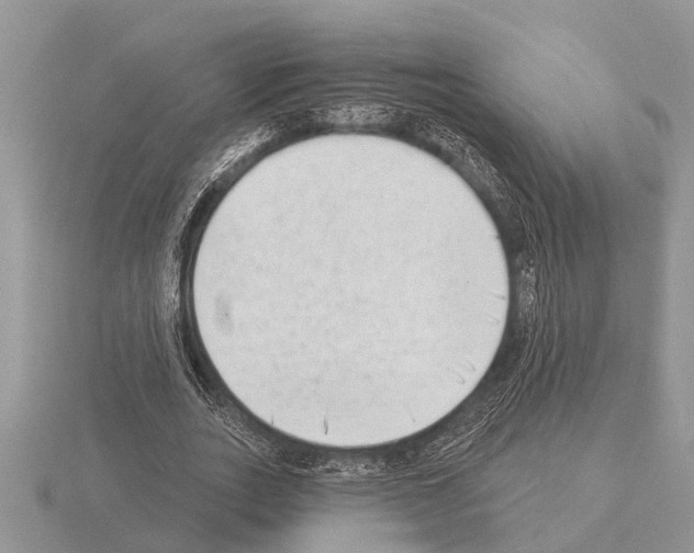 X0000115290727200912141055