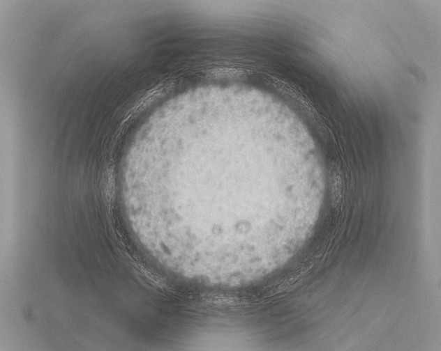 X0000115290729200912141055