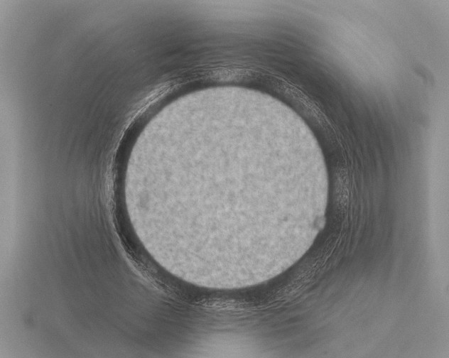 X0000115290730200912141055