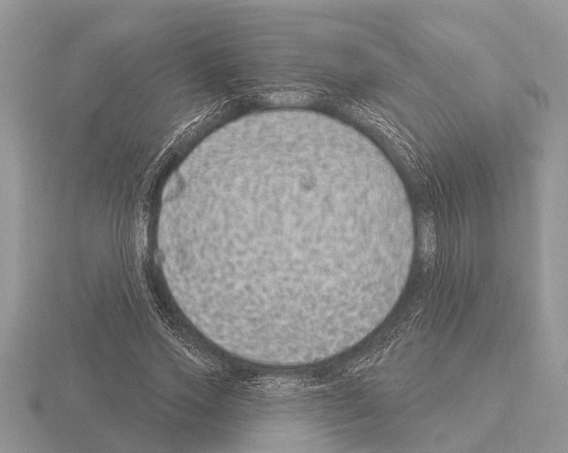 X0000115290733200912141055