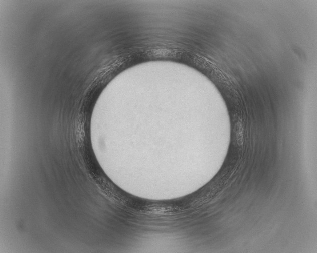 X0000115290746200912141055