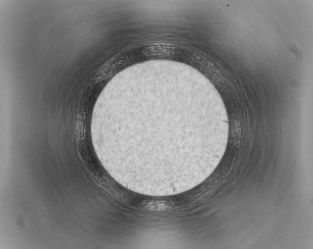 X0000115290751200912141055