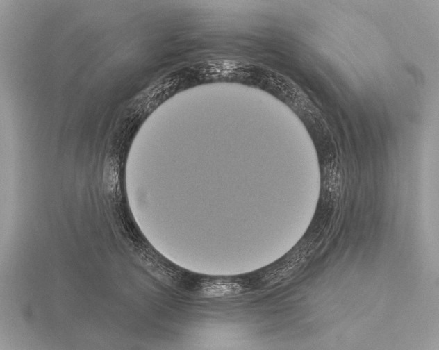 X0000115290754200912141055