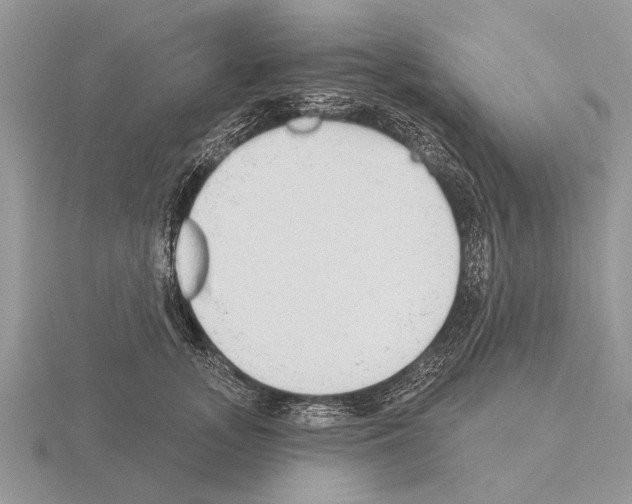 X0000115290755200912141055