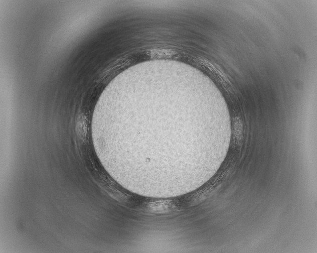 X0000115290761200912141055