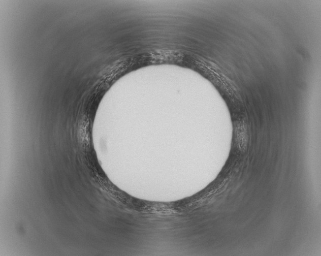 X0000115290770200912141055