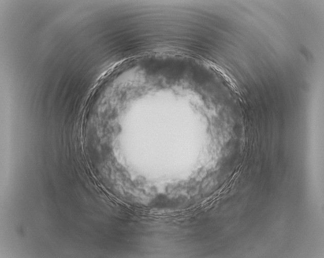 X0000115290776200912141055