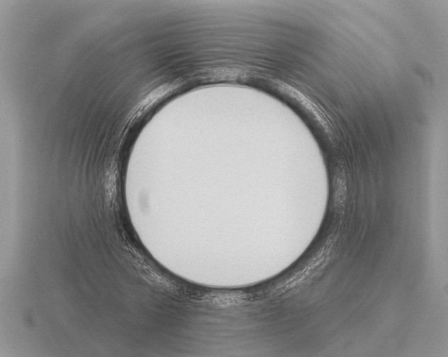 X0000115290778200912141054