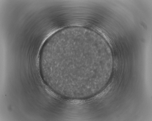 X0000115290779200912141054