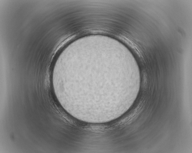X0000115290782200912141054